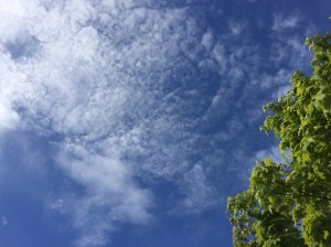 The greens and blues of early spring. 