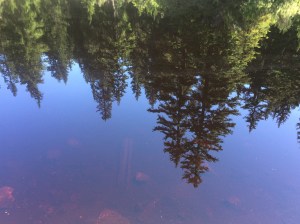 Mountain Lake reflection - Dog Mountain at Mount Seymour. 