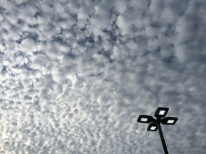 These cloud formations surprised me - I photographed them while waiting for my car at the Richmond Auto Mall.