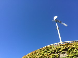 Sculpture and Kits Beach Pool.