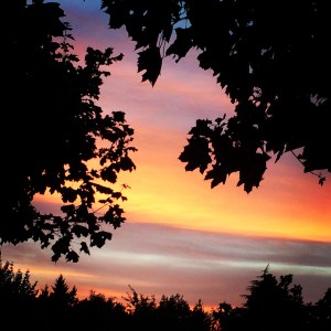 A sunset photographed from my apartment parking lot.