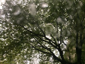 A sudden hail storm in Vancouver.