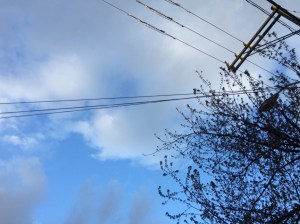 Power lines against a Seattle sky on my way to a Bruce Cockburn concert.