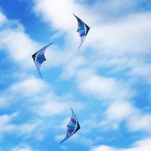 One man was flying all three of these kites in formation at Gary Point Park. 